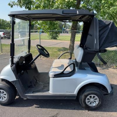 2021 EZGO RXV 48 volt Platinum Image