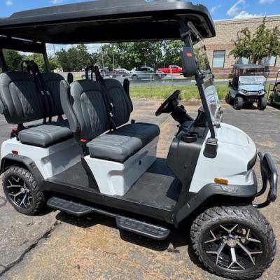 Denago EV Rover XL White Image