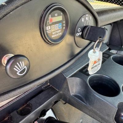 2013 EZGO RXV Image